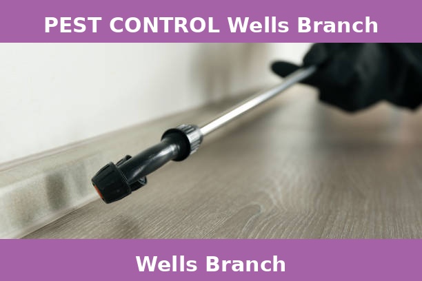 PEST CONTROL Wells Branch